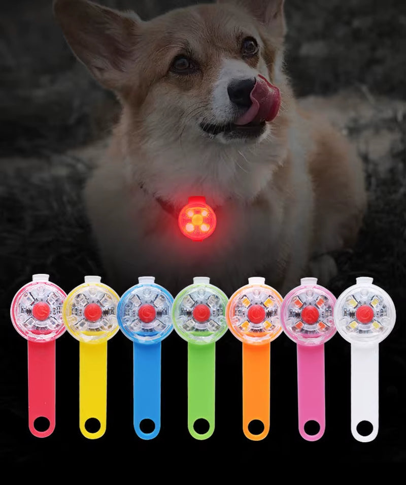 Rechargeable Dog Collar Light Waterproof Pet LED Safety Lights for Night Walking